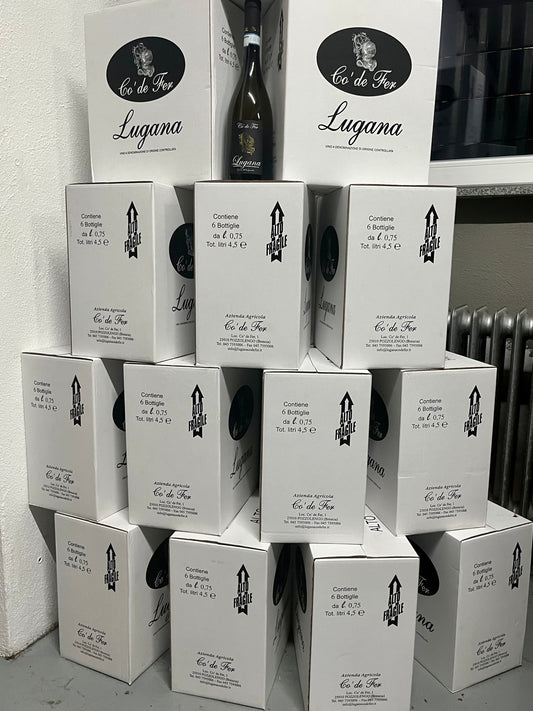 Lugana "Co' de Fer" - 1 Karton ( 6 Flaschen)